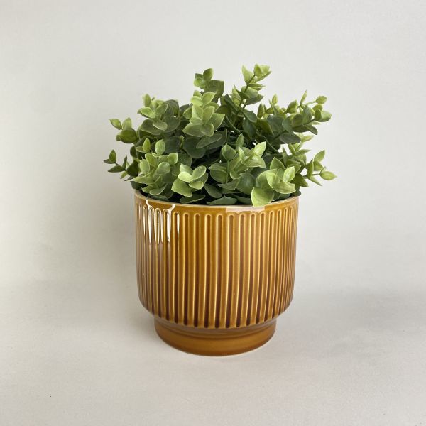 琥珀色直紋盆器 