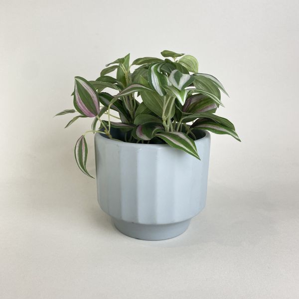 淺藍灰盆器 
