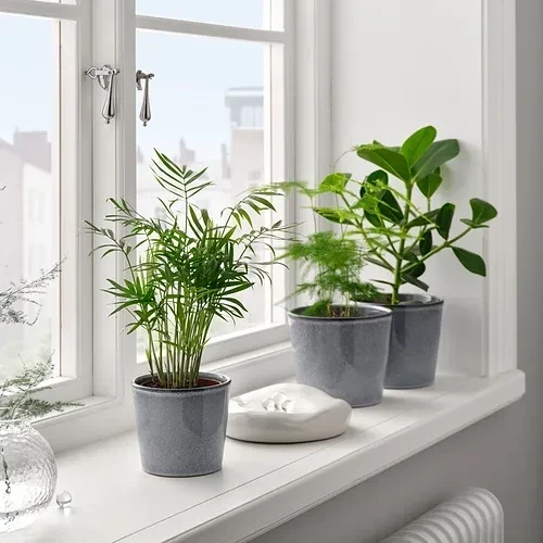 藍灰色陶小花盆 