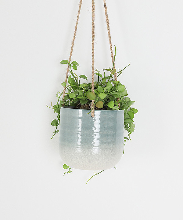 藍漸層陶瓷吊掛花盆 