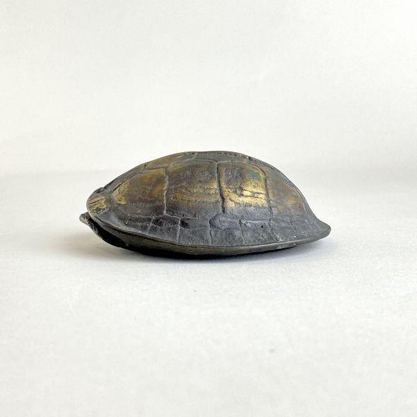 烏龜存錢筒 （含銅錢） 