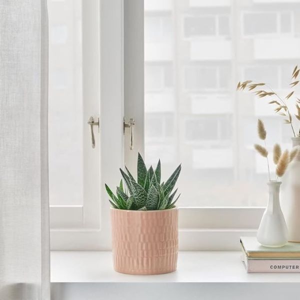 粉色格紋陶瓷小花盆 