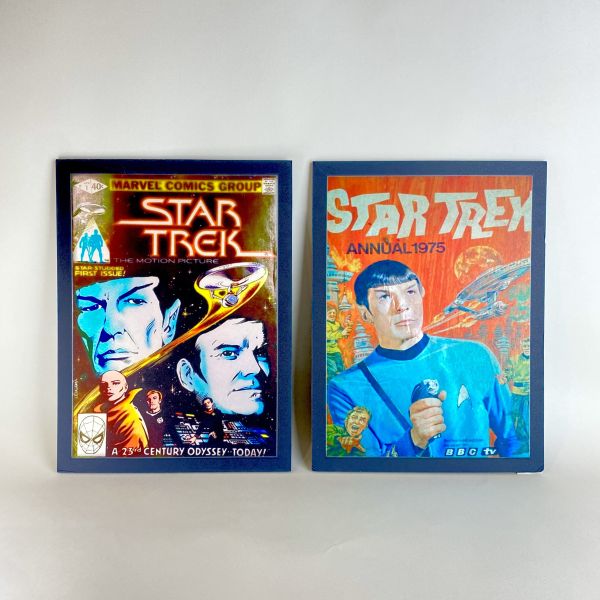 star trek/marvel 裝飾畫 