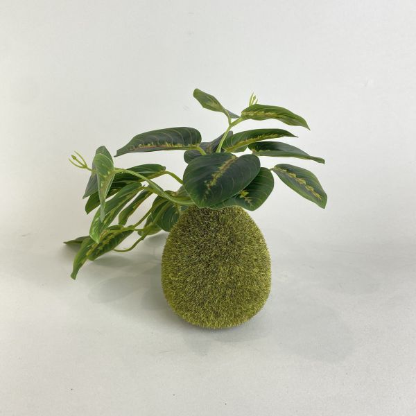 人造苔蘚球豹紋竹芋 