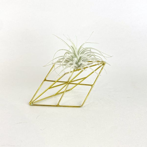金色菱形架子 