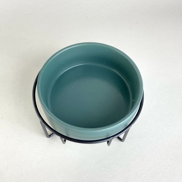 綠色寵物碗 