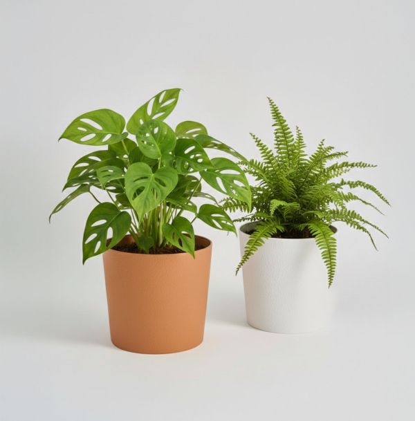 土橘白色塑料花盆 