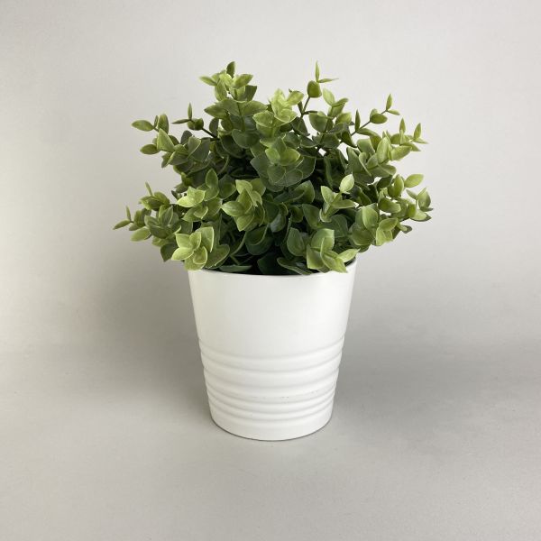 白色寬口橫紋盆器 