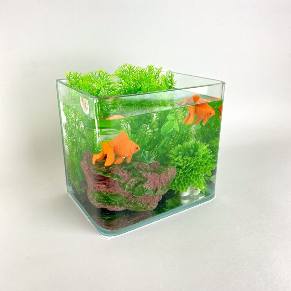 魚缸 