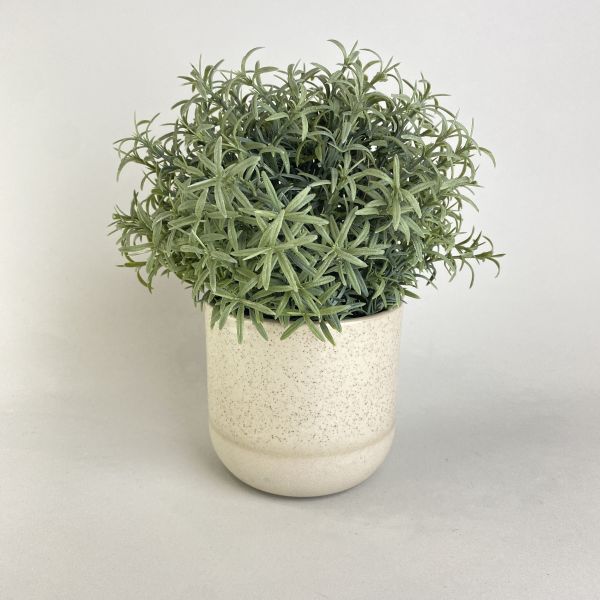米色斑點盆器 