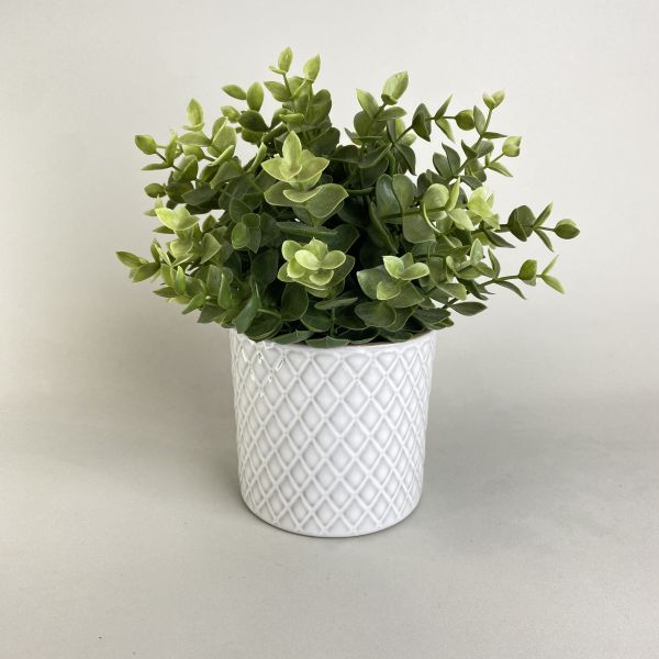白色菱格紋盆器 