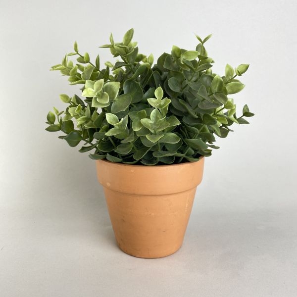 橘色陶製小盆器 