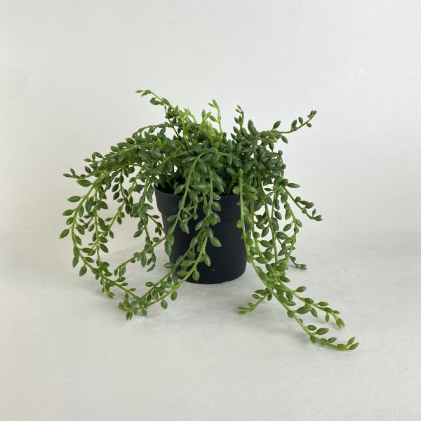 人造佛珠吊蘭 