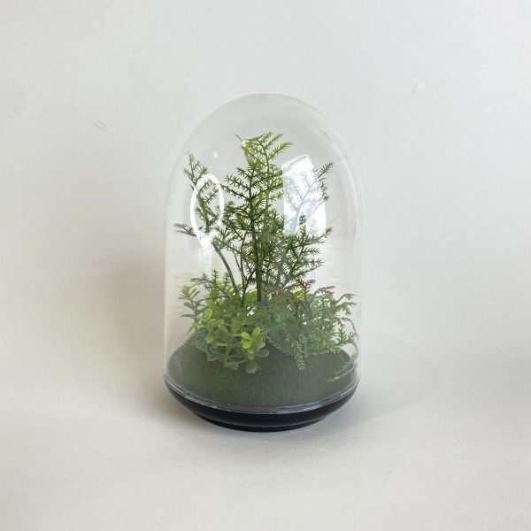 半圓植物擺飾 