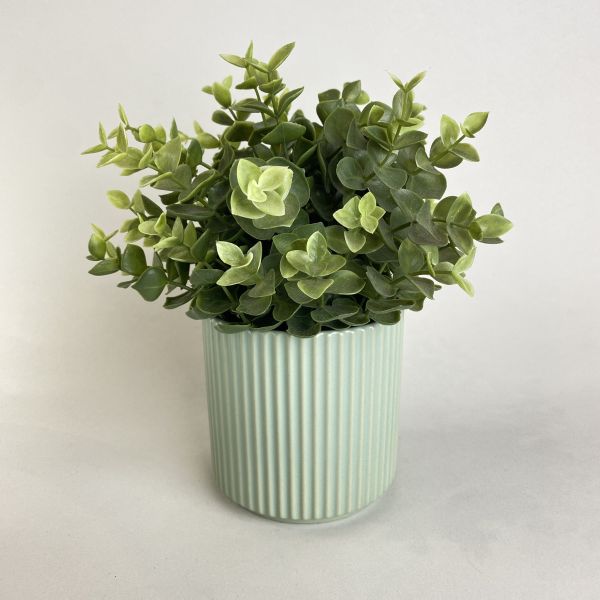 淺綠色盆器 