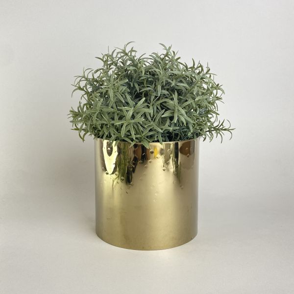 金色盆器 