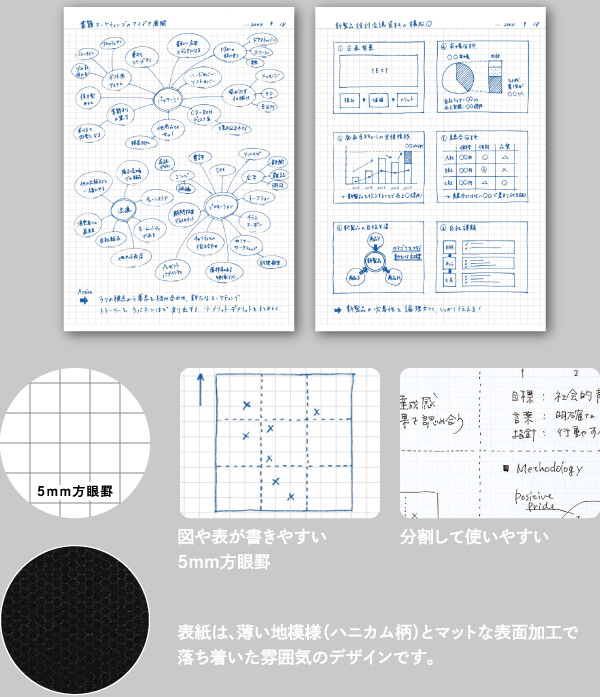 Campus大人系列筆記本-方格(線圈) 