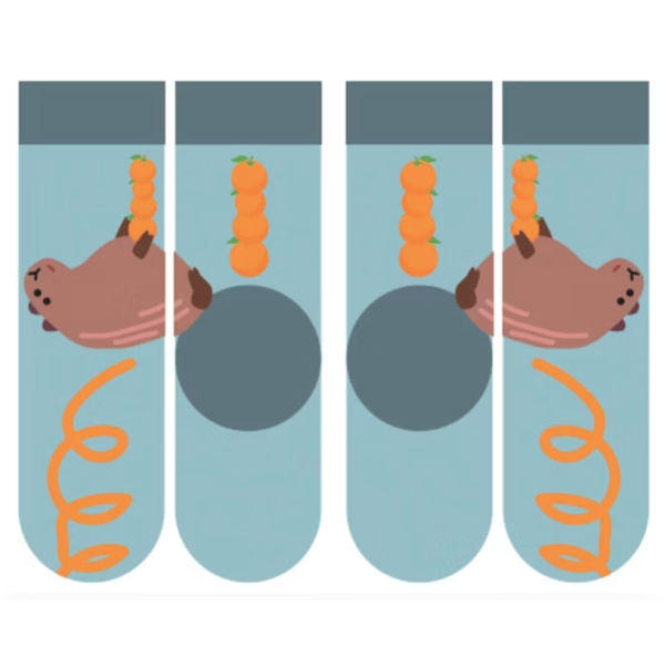 【Bipulent】瓦襪趴9-農場明星-東東 