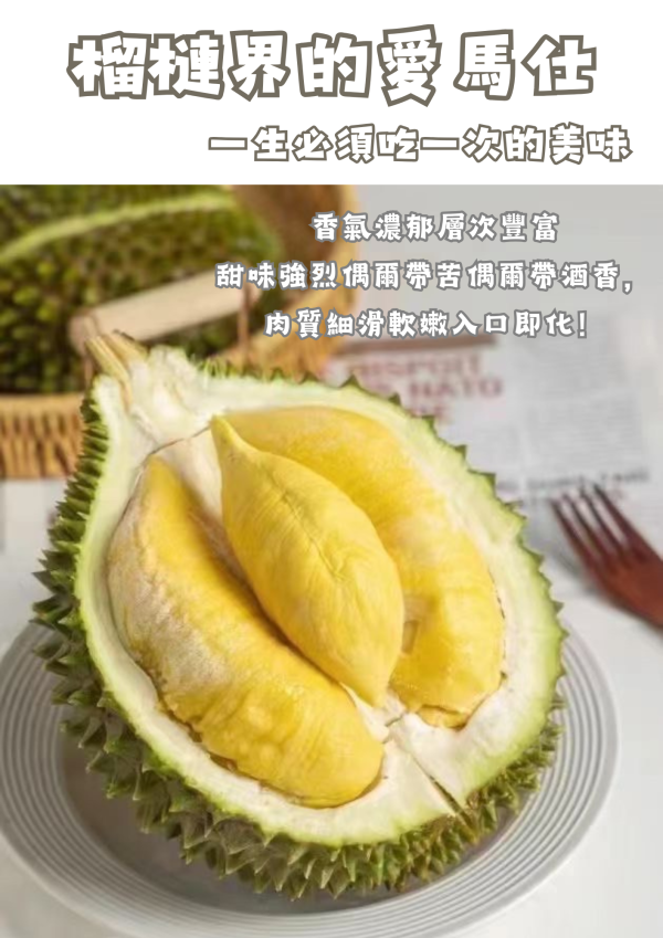 貓山王榴槤盒子蛋糕 榴槤,貓山王,馬來西亞榴槤,高雄榴槤,高雄甜點,榴槤甜點