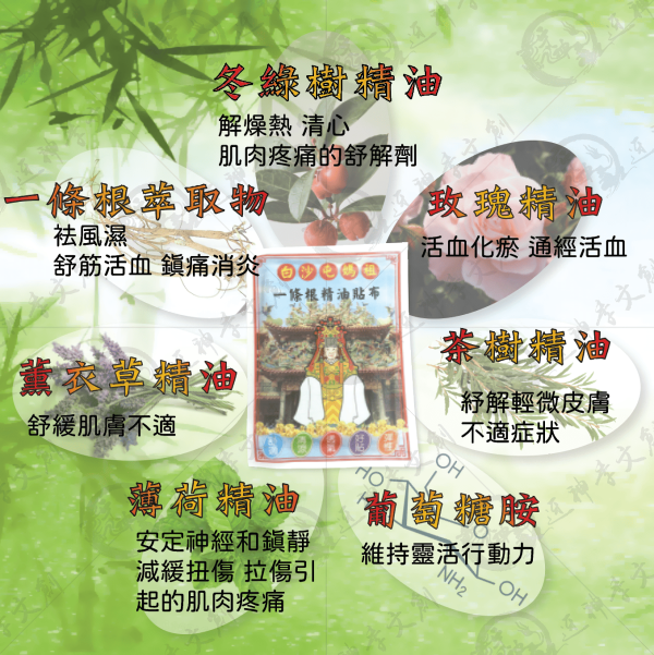 白沙屯媽祖一條根精油貼布 