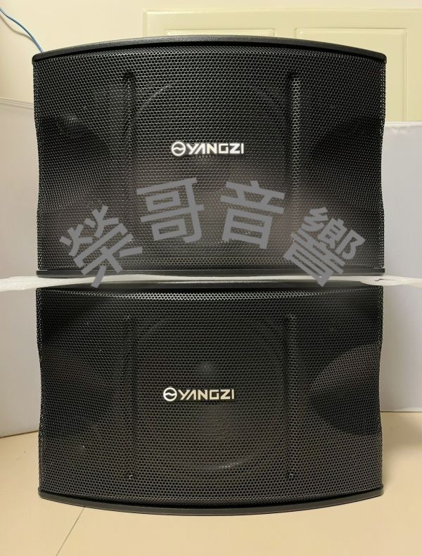YANGZI K-450 卡拉OK專業吊掛式喇叭 全新 揚子 高階 3音路 5單體 10吋低音 懸吊式 卡拉OK 喇叭 KTV 唱歌 搭配 綜合擴大機 前級 後級 無線麥克風 迴音機 音圓 點歌機 金嗓電腦伴唱機 音王 落地式 音箱 ZonGer NaGaSaKi FNSD TDF JCT
