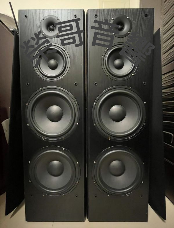 H.T audio雙10吋卡拉o專業落地式喇叭 H.T audio雙10吋 落地喇叭 台灣大廠製數位 綜合擴大機 無線 有線麥克風金嗓 音圓音王點歌機 前級 EQ效果器ZonGer NaGaSaKiFNSD TDF JCT