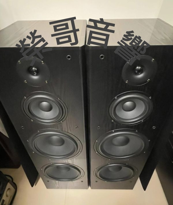 H.T audio雙10吋卡拉o專業落地式喇叭 H.T audio雙10吋 落地喇叭 台灣大廠製數位 綜合擴大機 無線 有線麥克風金嗓 音圓音王點歌機 前級 EQ效果器ZonGer NaGaSaKiFNSD TDF JCT