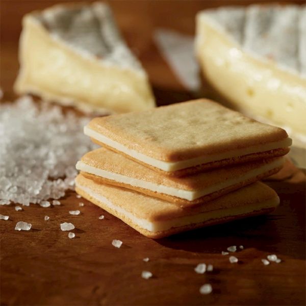 日本東京牛奶起司工場 Tokyo Milk Cheese Factory 禮盒附提袋 Tokyo Milk Cheese Factory、日本牛奶起司餅乾、蜂蜜起司餅乾、海鹽起司餅乾、巧克力馬斯卡彭餅乾、日本甜點禮盒、日本伴手禮推薦、東京甜點、附提袋禮盒、牛奶起司工場餅乾、日本人氣餅乾、日系高質感禮盒