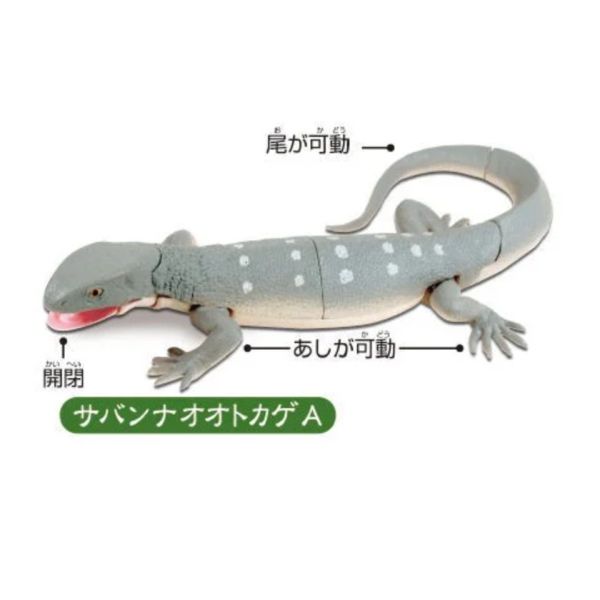 3A371『現貨』可動生物模型-巨大蜥蜴篇 T-ARTS 扭蛋 轉蛋 