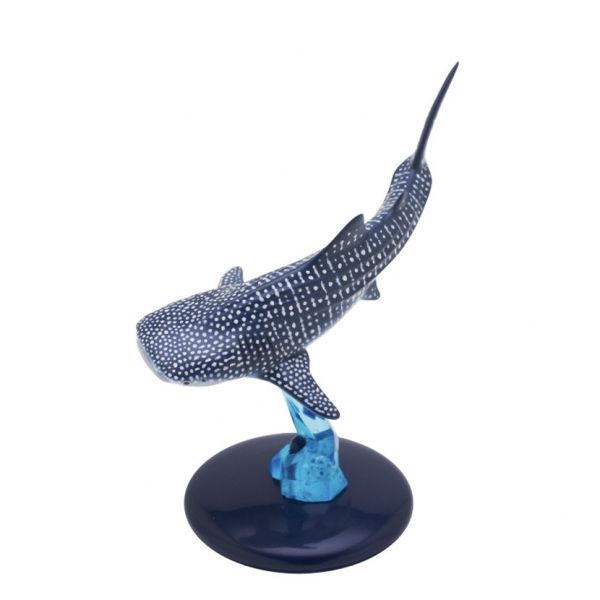 egb429『現貨』NTC生物模型-鯊魚篇 扭蛋 轉蛋 