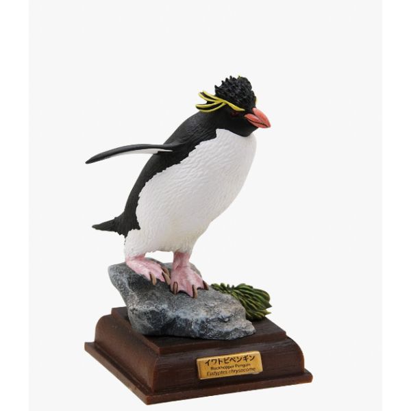 1A266『現貨』NTC圖鑑-南極大陸生命紀行 特別篇 IKIMON 扭蛋 轉蛋 