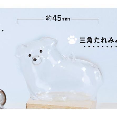 5A923『現貨』  我家毛孩透明吊飾 狗狗篇   Bright link  扭蛋   轉蛋 