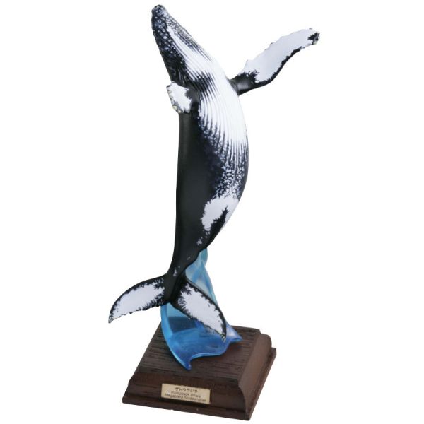 2A401『現貨』NTC圖鑑-海洋第一彈 特裝版 IKIMON 扭蛋 轉蛋 