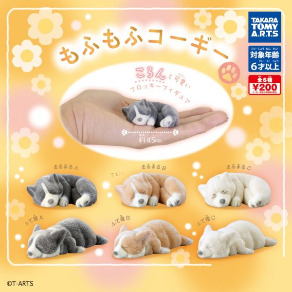 3A543『現貨』植絨柯基公仔 T-ARTS 扭蛋 轉蛋 