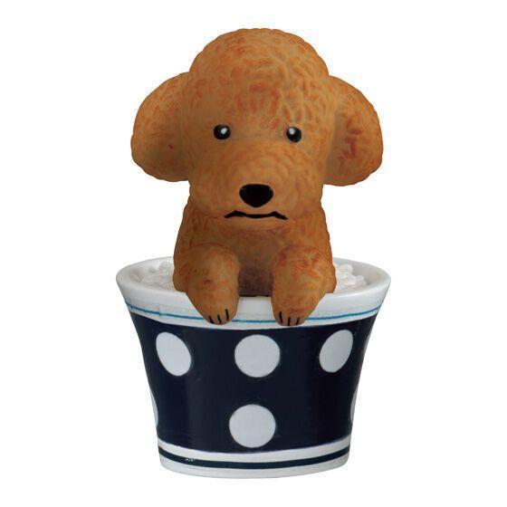 5A992『現貨』飯糰劇場動物公仔 BANDAI  扭蛋   轉蛋 