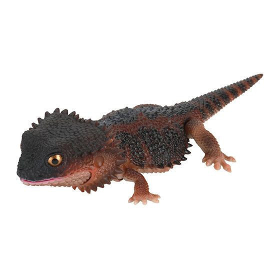 2A933『現貨』生物大圖鑑-多疣壁虎與鬃獅蜥 BANDAI 扭蛋 轉蛋 