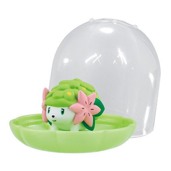 4A468『現貨』精靈寶可夢飾品收納盒P10 BANDAI 扭蛋 轉蛋 