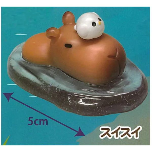 3A811『現貨』水豚的日常公仔 AMUSE 扭蛋 轉蛋 
