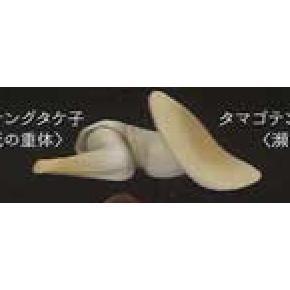 5A440『現貨』中毒蘑菇    Shine-G   扭蛋   轉蛋 