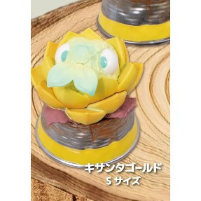 2A451『現貨』觀葉爬蟲類公仔 Qualia 扭蛋 轉蛋 