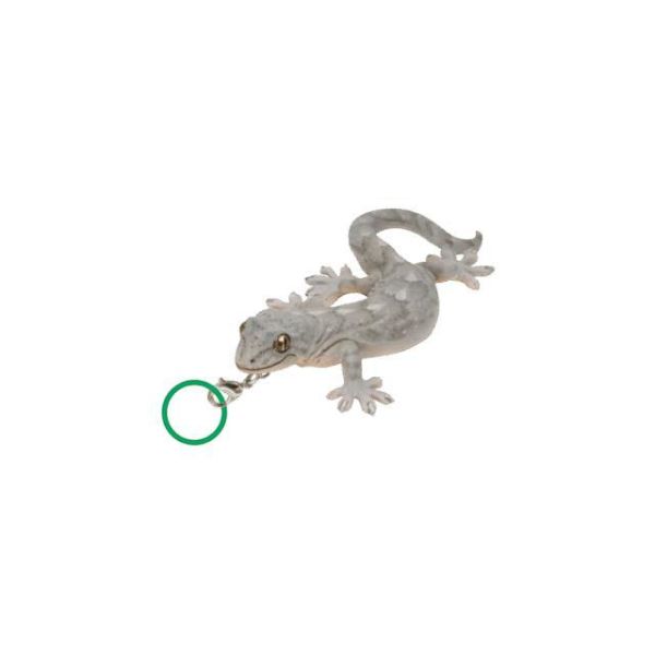 5A795『現貨』NTC-蜥蜴與壁虎造型吊飾   IKIMON  扭蛋   轉蛋 