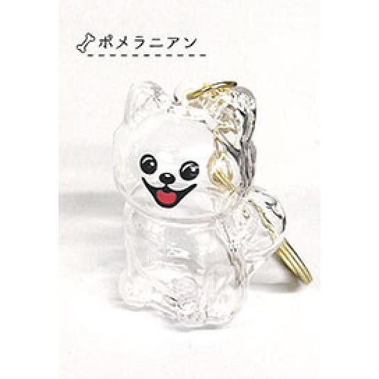 5A451『現貨』愛犬透明吊飾   RAINBOW   扭蛋   轉蛋 