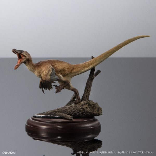 2A974『現貨』生物大圖鑑展示模型-恐龍P2 BANDAI Premium 扭蛋 轉蛋 