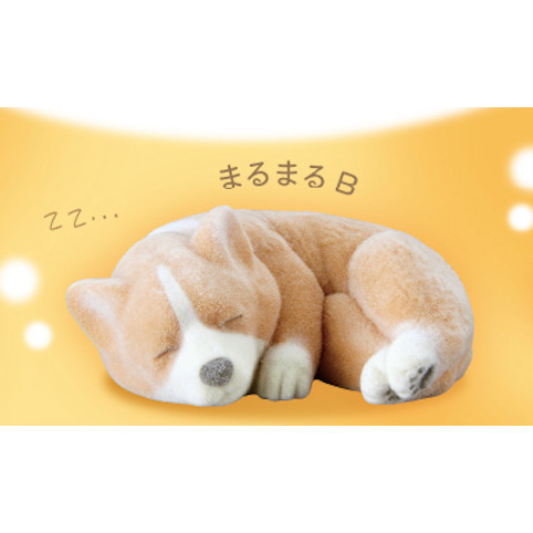 3A543『現貨』植絨柯基公仔 T-ARTS 扭蛋 轉蛋 