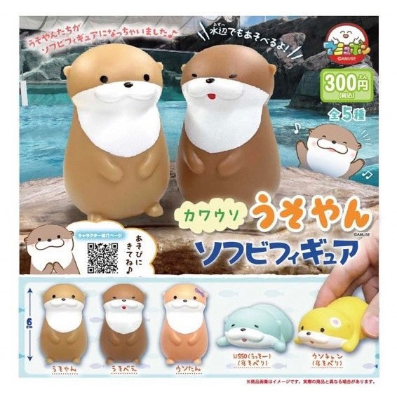 2A557『現貨』水獺軟膠公仔 AMUSE 扭蛋 轉蛋 