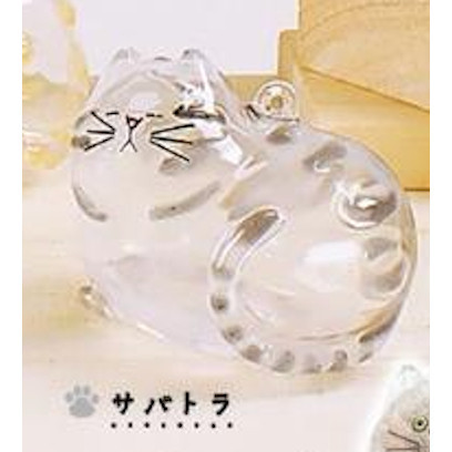 4A364『現貨』我家毛孩透明吊飾 Bright Link 扭蛋 轉蛋 