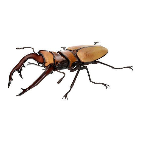 2A983『現貨』生物大圖鑑-鍬形蟲篇08 BANDAI 扭蛋 轉蛋 