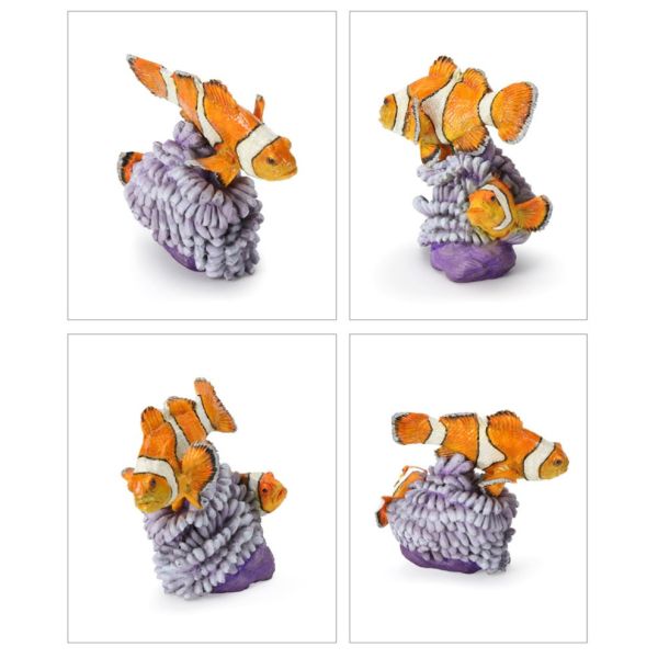 4A745『現貨』生物大圖鑑-珊瑚礁生物 BANDAI 扭蛋 轉蛋 