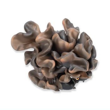 egb782『現貨』蘑菇龍造型珠鍊吊飾P3 扭蛋 轉蛋 