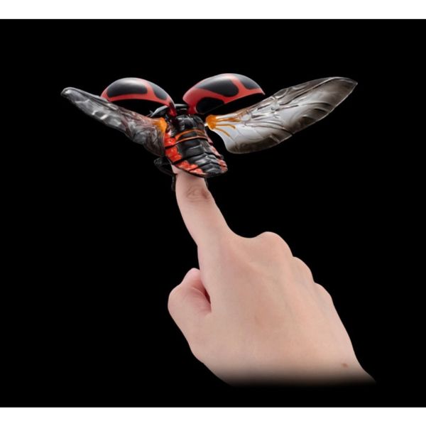 2A367『現貨』生物大圖鑑進擊-瓢蟲篇P2 BANDAI Premium 扭蛋 轉蛋 